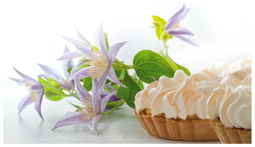 Hofcafe Volker Zitronentarte Clematis